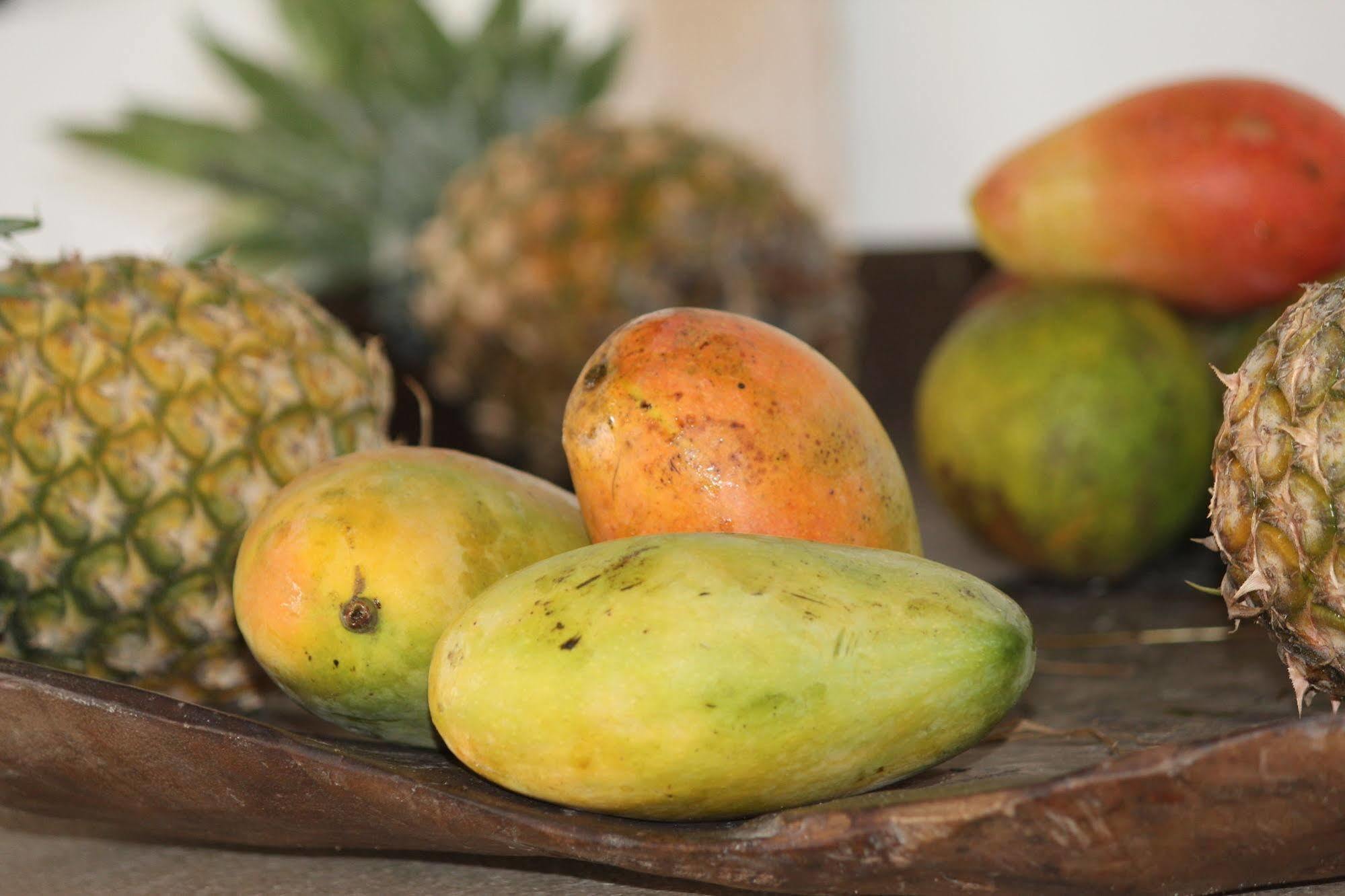 Mawe Resort Watamu Boutique Hotel Ngoại thất bức ảnh