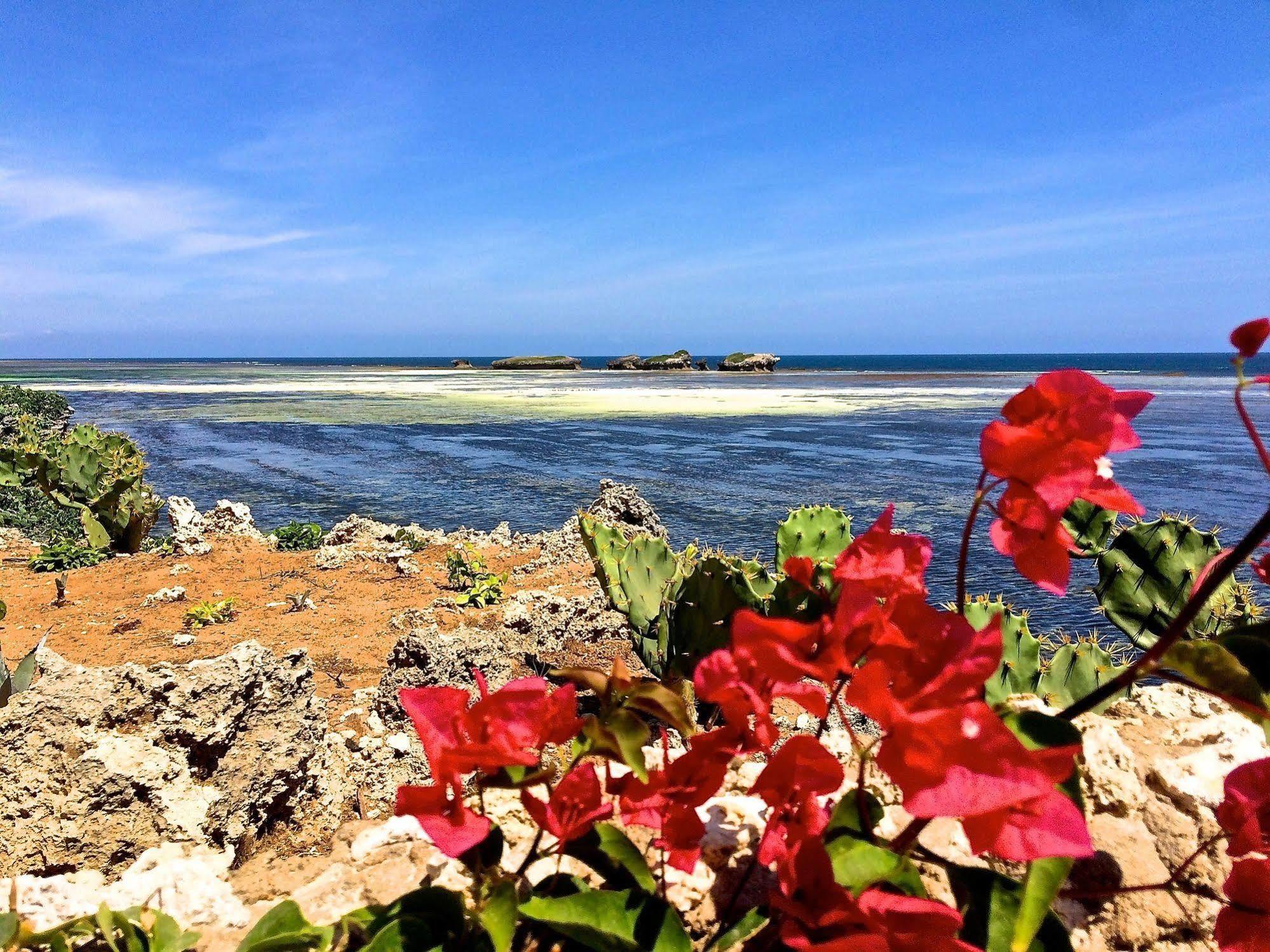 Mawe Resort Watamu Boutique Hotel Ngoại thất bức ảnh